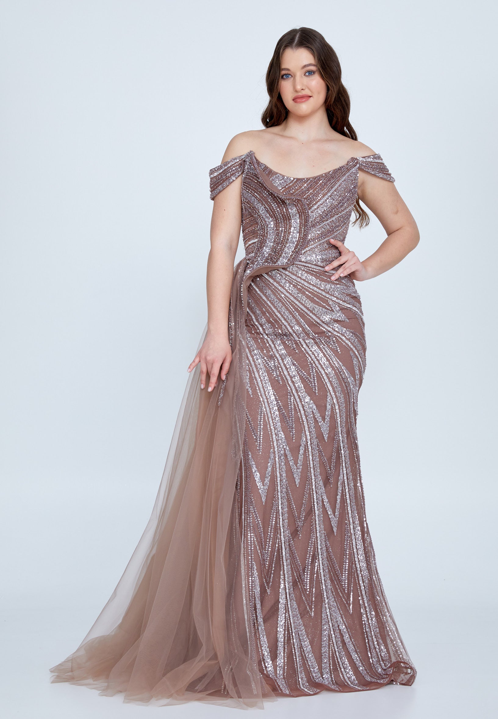 Long Sleeve Maxi Tulle Mermaid Plus Size Wedding Guest Dress mtr99119 main image 1