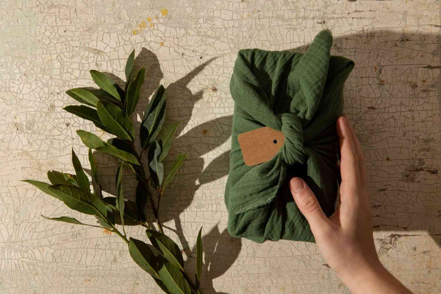 Sustainability in Wholesale Fashion: The Future of Eco-Friendly Clothing