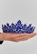 8032310876794_4